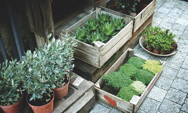 Top Landscaping Ideas for Small Yards and Patios
