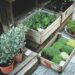 Top Landscaping Ideas for Small Yards and Patios