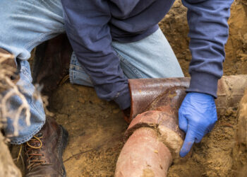 Tips to Resolve Sewer Line Blockage Caused by Tree Roots