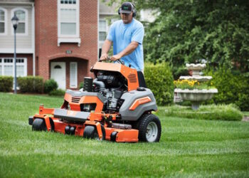 What To Expect from A Lawn Care Professional?
