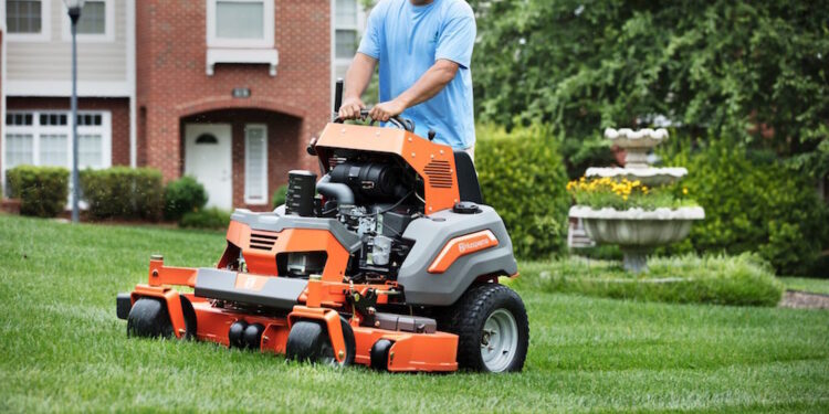 What To Expect from A Lawn Care Professional?