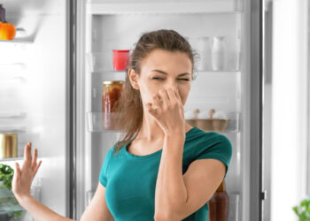 Ways To Get Rid of Refrigerator Odors