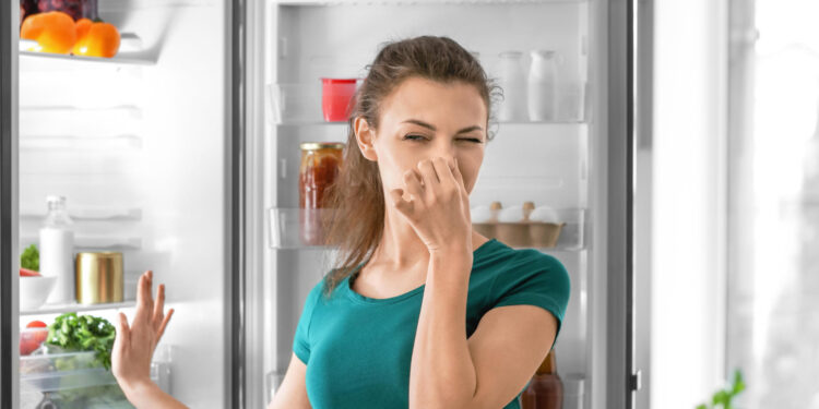 Ways To Get Rid of Refrigerator Odors