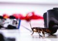 How to Prevent Roaches from Invading your Drains