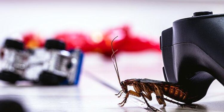 How to Prevent Roaches from Invading your Drains