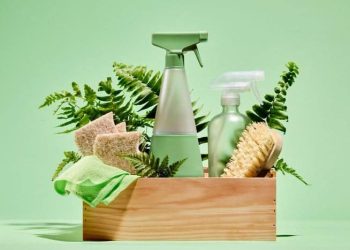 The Benefits of Using Green Cleaning Services