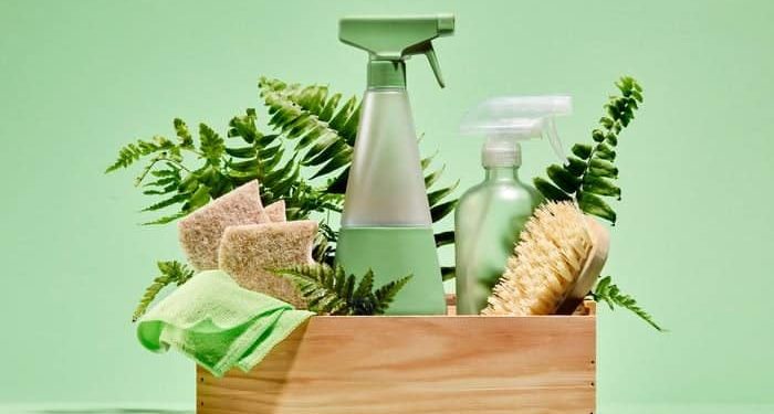 The Benefits of Using Green Cleaning Services