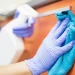 Room-by-Room Cleaning Guide: Insights from Expert Maids