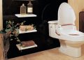 How an NDIS bidet can transform daily life for people with a disability