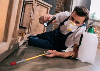 How to Prep Your House for a Professional Pest Control Treatment