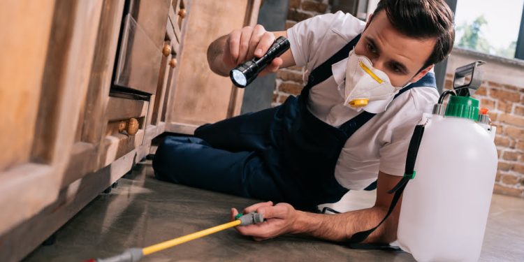 How to Prep Your House for a Professional Pest Control Treatment
