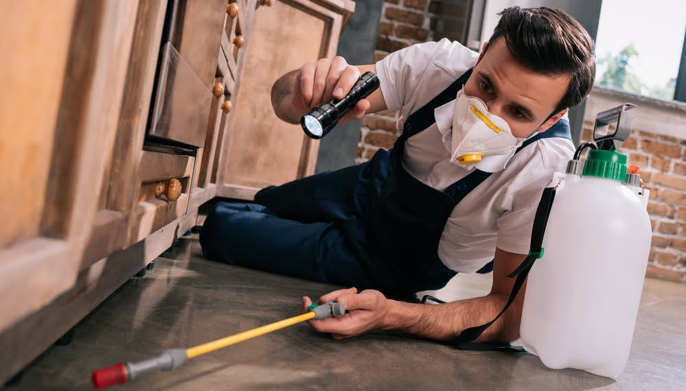 How to Prep Your House for a Professional Pest Control Treatment